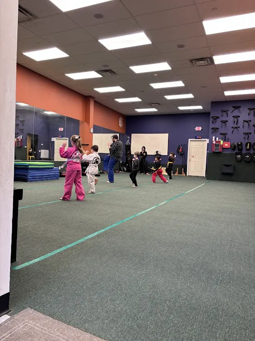 Shaolin Self Defense Center Picture 2