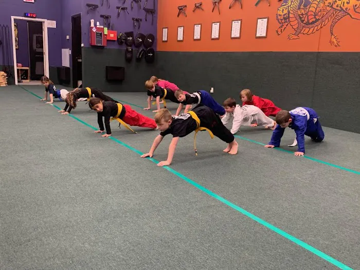 Shaolin Self Defense Center Picture 8