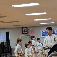 Peaceful Warrior Karate ico