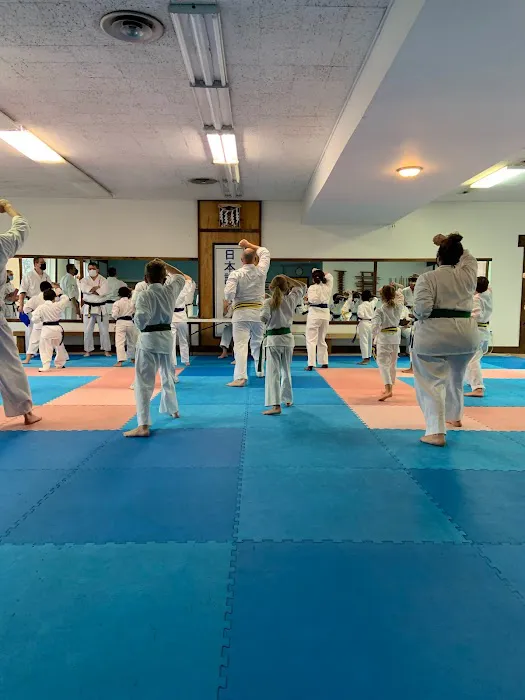 Dewey's Martial Arts of Rensselaer County Picture 2