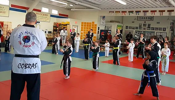 Pai's Taekwondo Picture 2