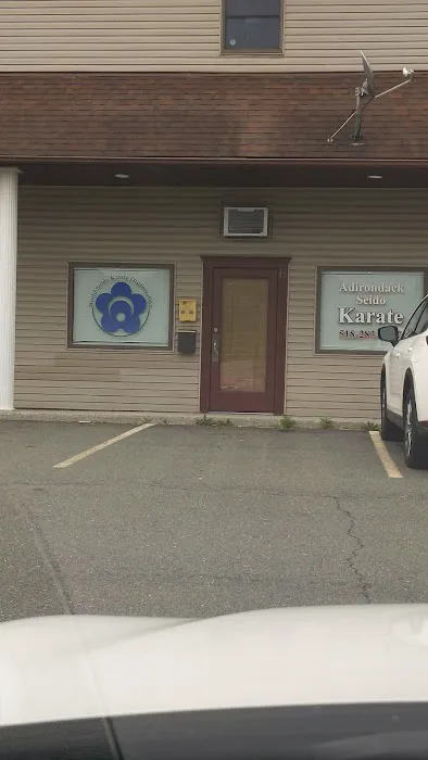 Adirondack Seido Karate Picture 1