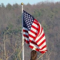 HwaRang TaekwonDo School ico