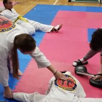 Rhode Island Taekwondo ico