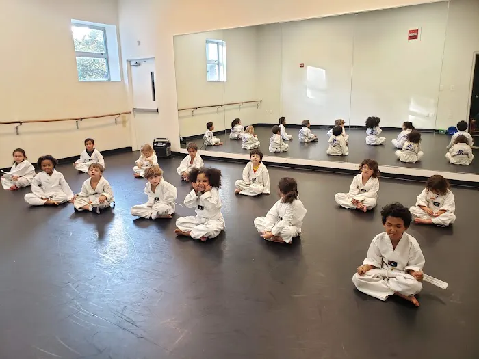 Positive Impact Martial Arts - Takoma Park Picture 5