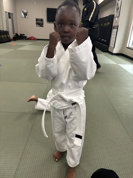 Premier Martial Arts Ivy City Picture 8