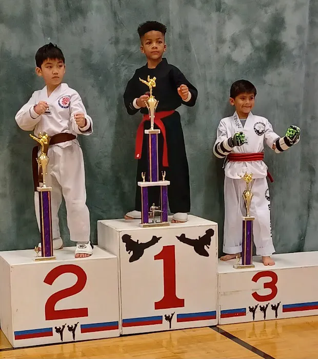 New Life Tae Kwon Do Picture 7