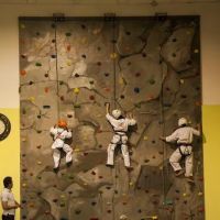 Dragon Yong-In Martial Arts - Purcellville ico