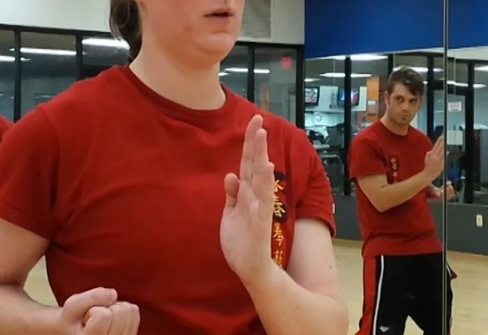 Wing Chun MD Picture 7