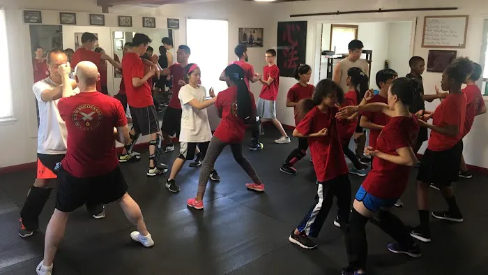 Wing Chun MD Picture 3