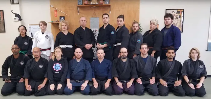 NinVolution Traditional Japanese Martial Arts Picture 5