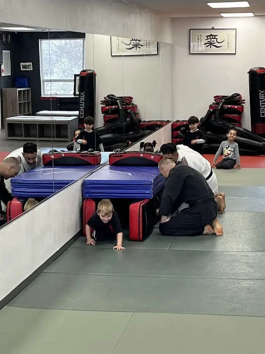 JTR Jujutsu International Picture 9