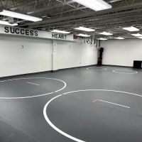 Ascend Institute of Martial Arts ico