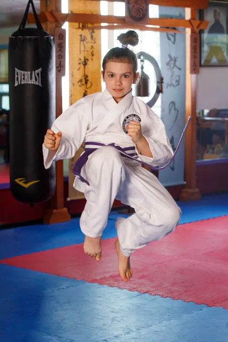 Polander Academy of Martial Arts Picture 7