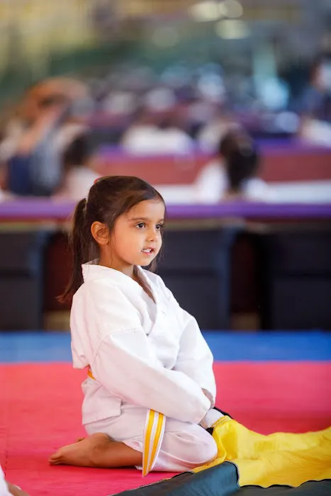 Polander Academy of Martial Arts Picture 3