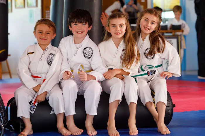 Polander Academy of Martial Arts Picture 4