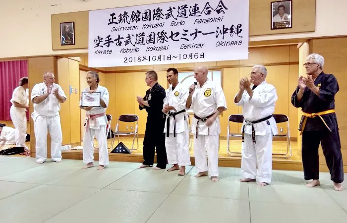 Polander Academy of Martial Arts Picture 9