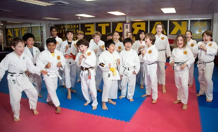 Polander Academy of Martial Arts Picture 1