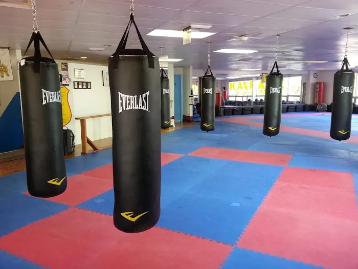 Polander Academy of Martial Arts Picture 6