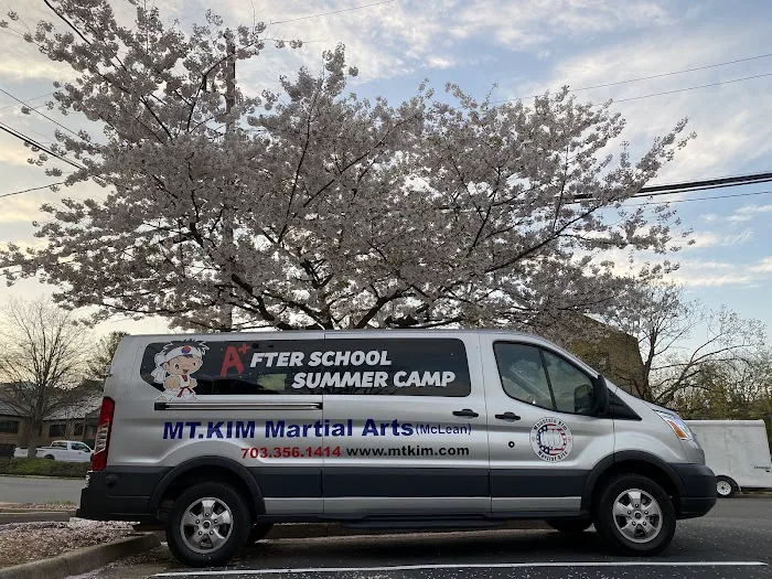 Mountain Kim Martial Arts Picture 5