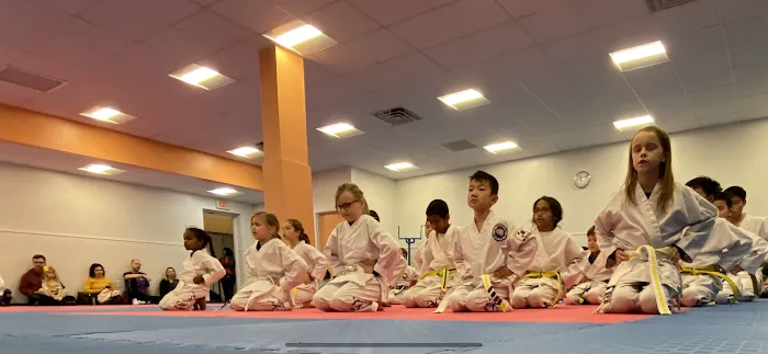 Mountain Kim Martial Arts Picture 2