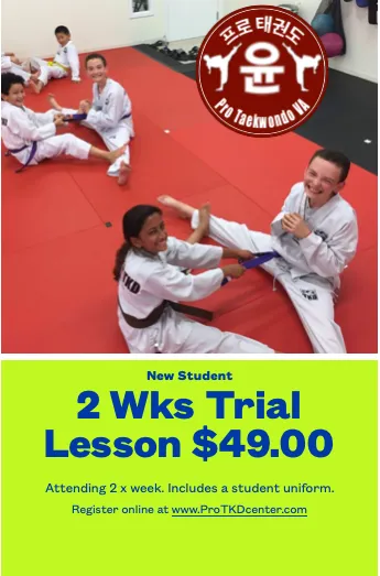 Pro Taekwondo VA Picture 2