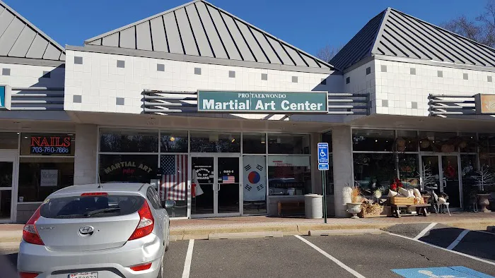 Pro Taekwondo VA Picture 3