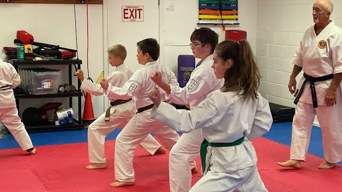 Gorin Dojo Karate Picture 1