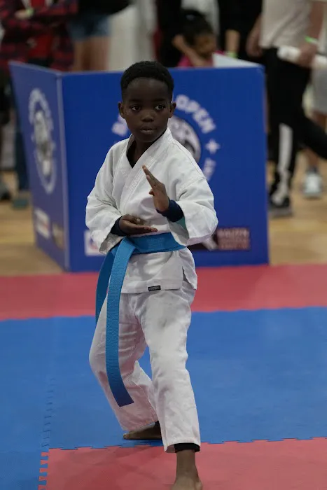 Gorin Dojo Karate Picture 4