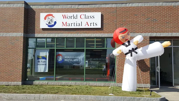 World Class Martial Arts Picture 3