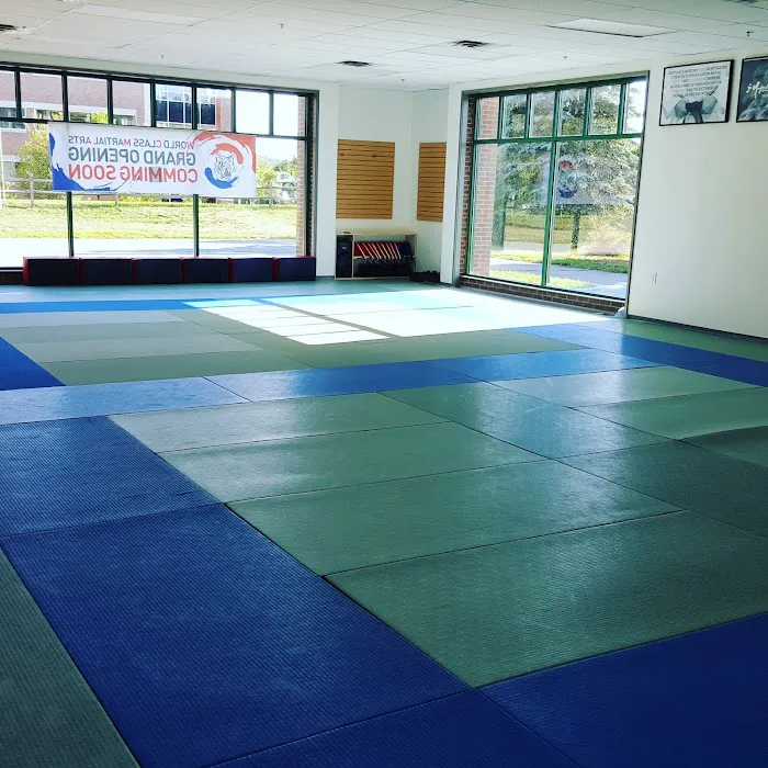 World Class Martial Arts Picture 10