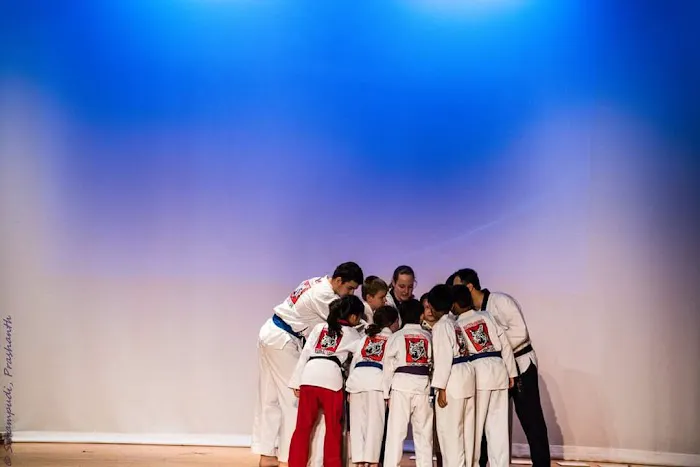 World Class Martial Arts Picture 2