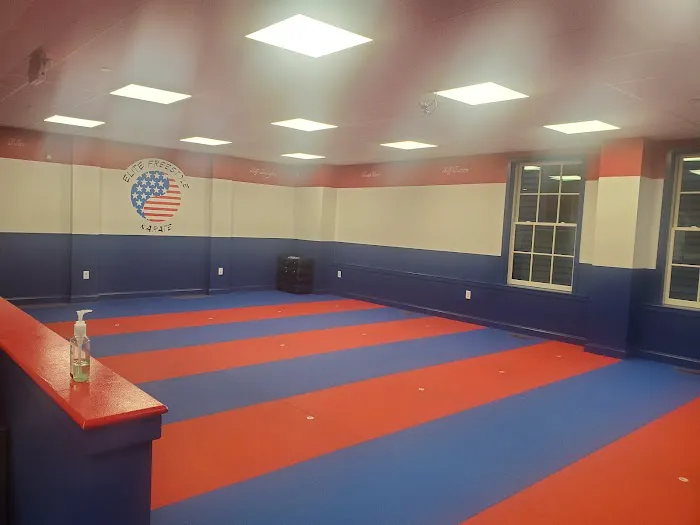 Elite Freestyle Karate Picture 1