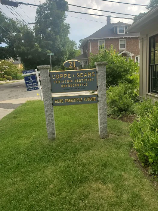 Elite Freestyle Karate Picture 4