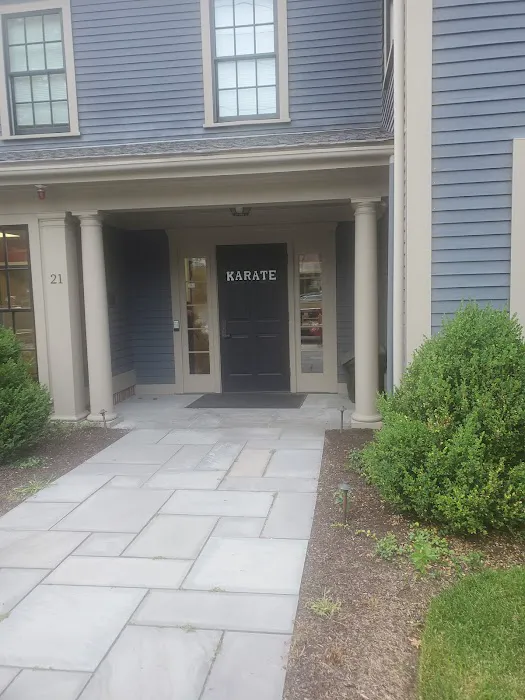 Elite Freestyle Karate Picture 3