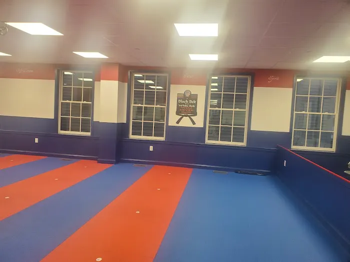 Elite Freestyle Karate Picture 2