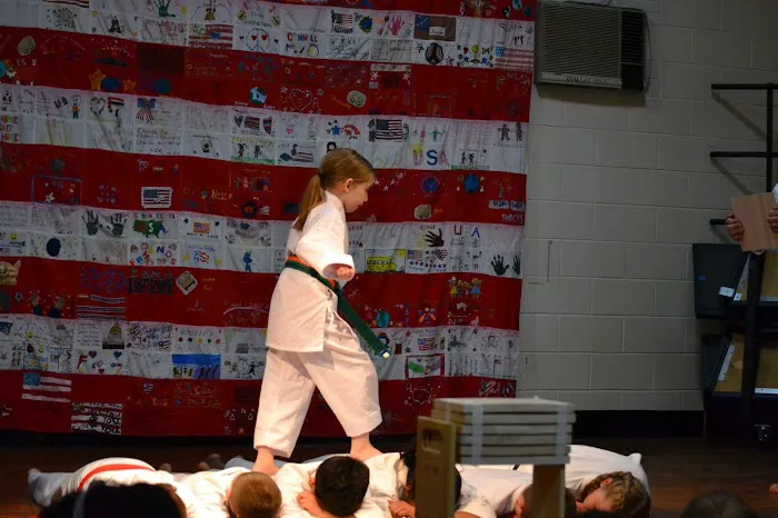 Alpha Martial Arts Academy Picture 3