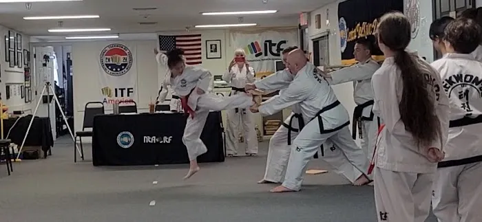 Central Tae Kwon Do Academy Picture 2