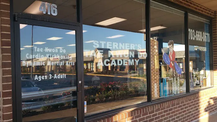 Sterner's Tae Kwon Do Academy Picture 2