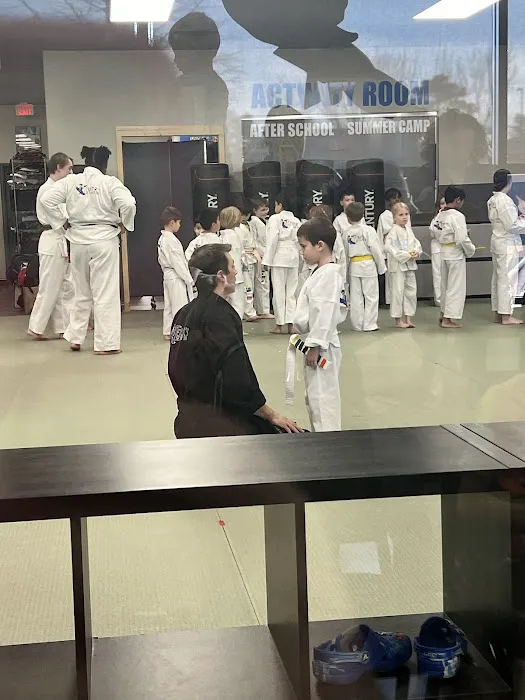 Sterner's Tae Kwon Do Academy Picture 6