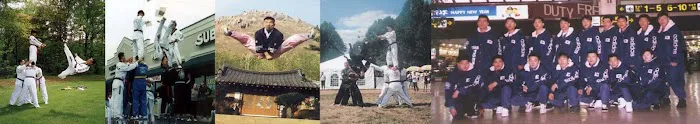 Neo Legend Tigers Taekwondo and Hapkido Picture 1