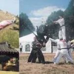 Neo Legend Tigers Taekwondo and Hapkido