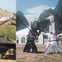 Neo Legend Tigers Taekwondo and Hapkido ico