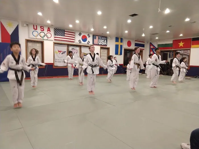 Grandmaster H.K. Lee Academy of TaeKwonDo Picture 4