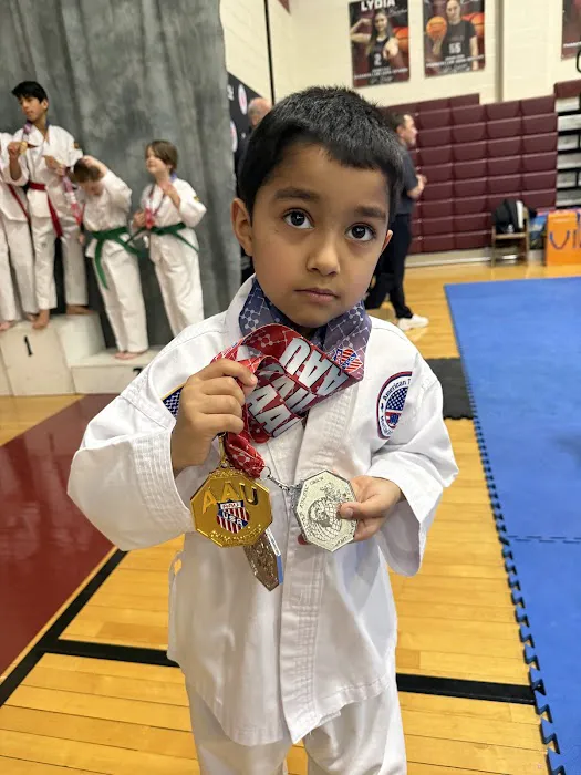 American Taekwon-Do Martial Arts Academy Picture 1