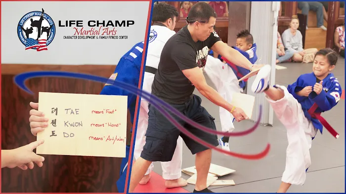 Life Champ Martial Arts of Reston Picture 3