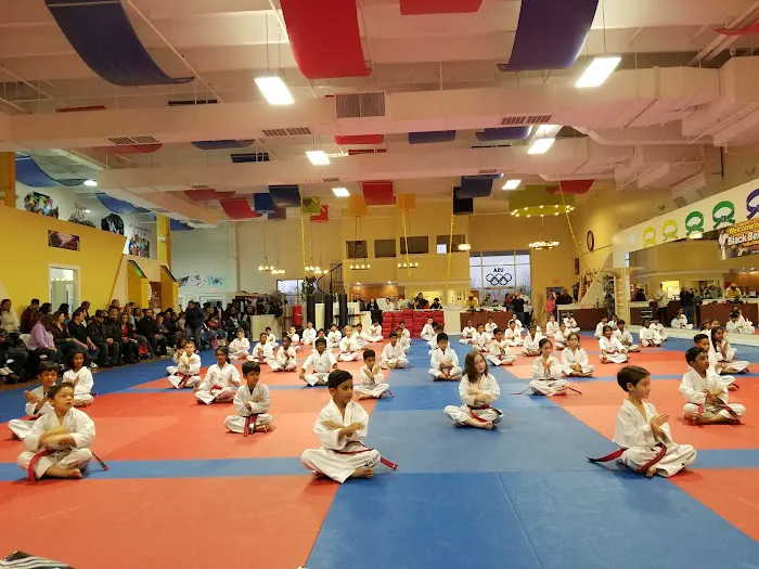 Dragon Yong-in Martial Arts - Brambleton Picture 4