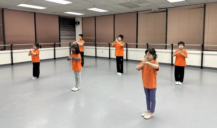 Professional Martial Arts Academy Picture 5