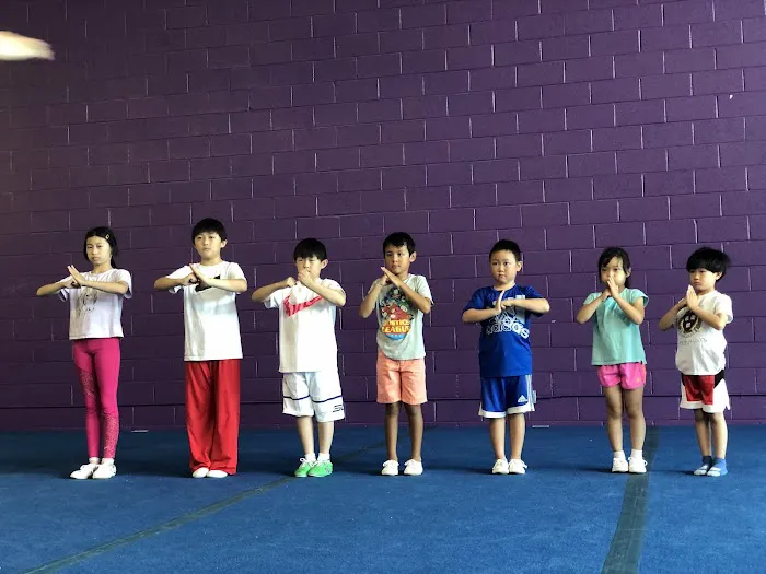 Professional Martial Arts Academy Picture 7