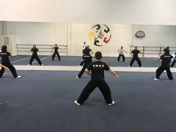 Professional Martial Arts Academy Picture 6